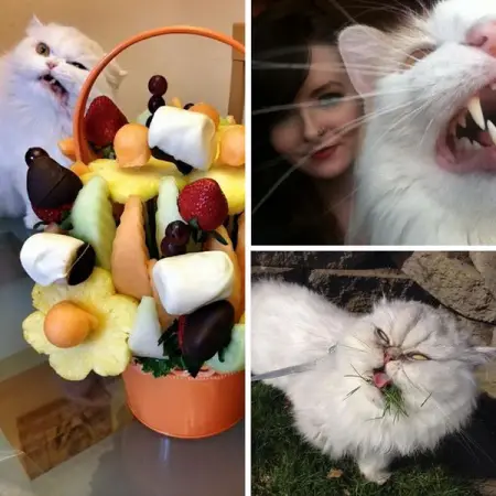 No bad day can last with these pics.
THEECOFEED.COM
38 Perfectly-Timed Animal Photos
These