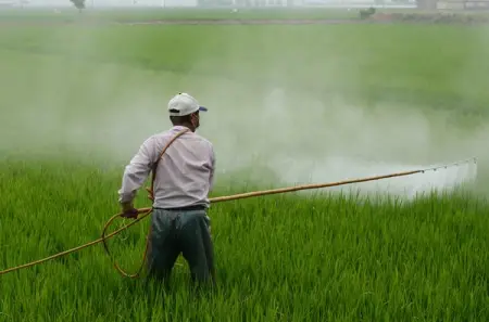 While Kenyan lawmakers attempt to align their pesticide laws with the EUs gre