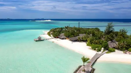 Since the world was struck down by the Covid-19 pandemic, we have all had the c