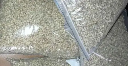 We sell local foodstuffs such as 
Okpa flour, UkwaDry, Fresh and Fried, Ugbafresh and dry,