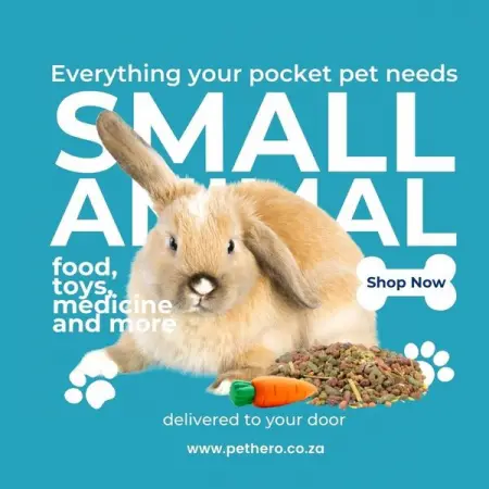PETHERO.CO.ZA
Small animal products
High quality products for rabbits and other small animal