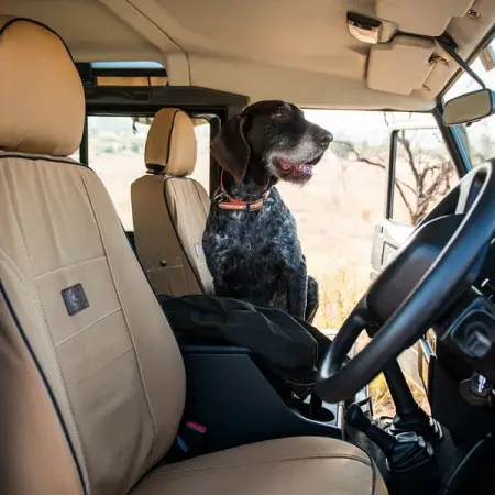 In a world where time, space and getting out is a luxury, Melvill and M