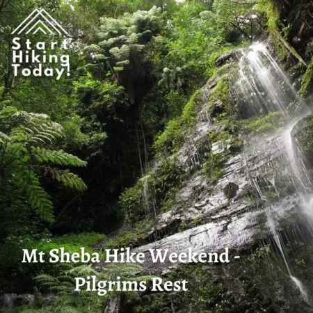FB.ME
Mt Sheba lush indigenous Rain Forest Walks
Mt Sheba Hike Weekend - 23 - 25