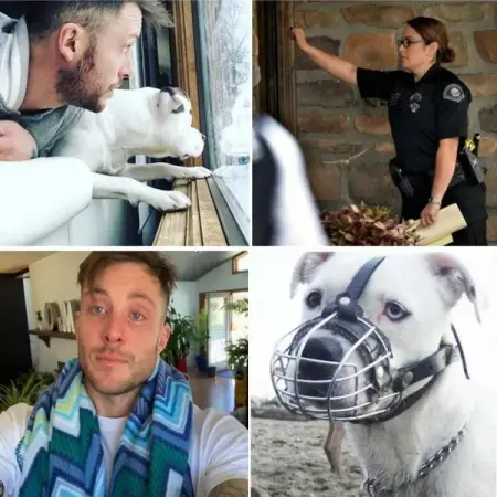 When Dan met Diggy the dog at an adoption shelter, he wanted to give him a forever h