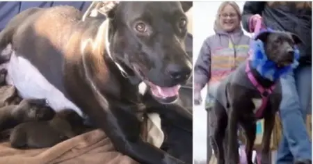 She didnt know where to go first! 