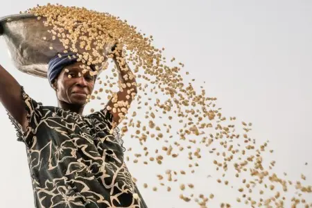 African governments need to properly respond to external shocks affecting food pro