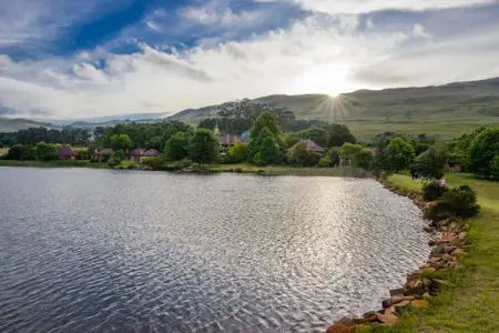 WALKERSONS.CO.ZA
Seasonal Trout Fishing
Book Now
 