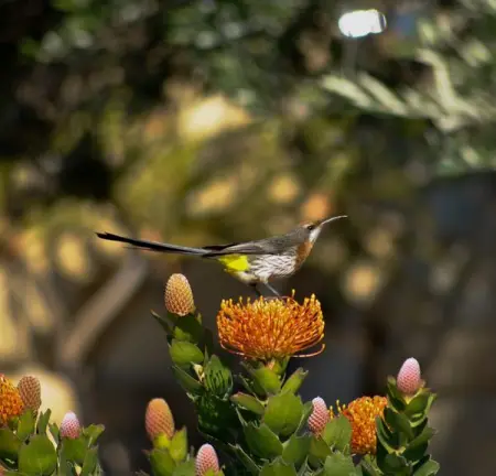 A place in the mountains where you can properly relax, unwind and de-stress. The silenc