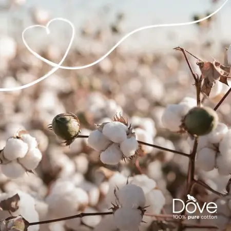 FACEBOOK.COM
Softer in every way
Learn More
 