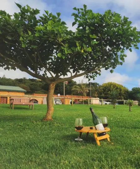 Everyone deserves a doptable_ 

Show your love with a beautiful and functi