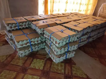 Makumba o vula fhala Thohoyandou unit c

Vhala vha no Toda u stock ri kwameni.. Delivery 