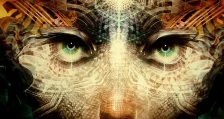 Ayahuasca in Africa- The ultimate shamanic healing adventure in between Gauteng and the F