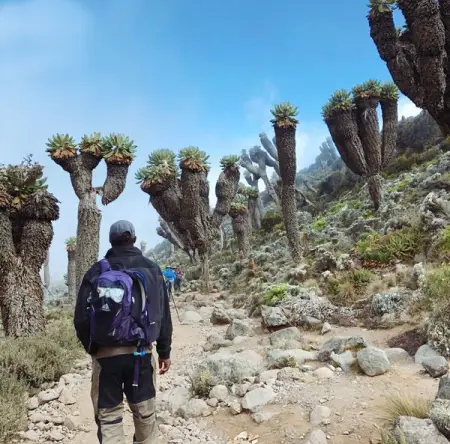 Trek Kilimanjaro With AdventureHero 2022!
ADVENTUREHERO.COM
Are You Ready Fo