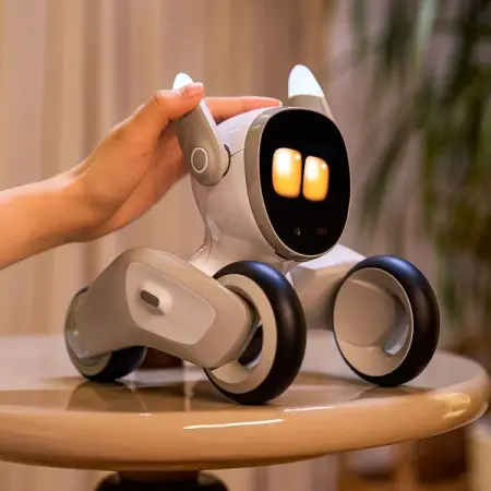 Face recognition, body detection, movement, voice, and gesture recognition