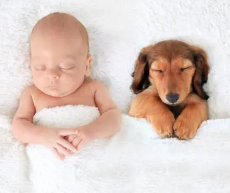 Stilo Pet
Pet Supplies
1,283 people like this
Like Page