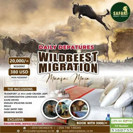 MASAI MARA DAILY DEPARTURES

KIDS 4YRS-12YRS SH.15000

This 3 days and 2 nights gu