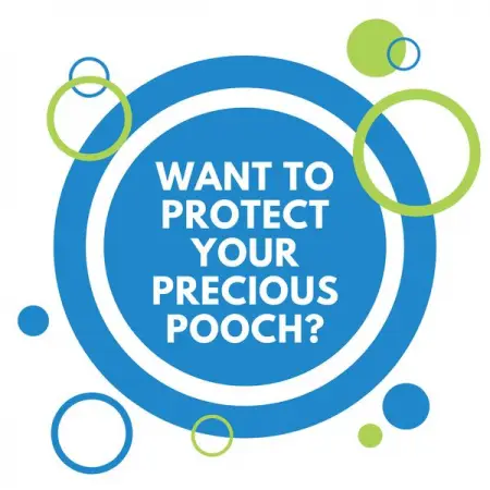 COVERSEARCH.CO.ZA
Select Your Dog Breed
Get Quote
 