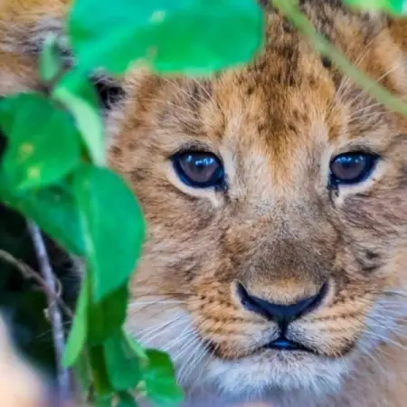 We cant wait to welcome you to Entumoto Get in touch to find out about our special r