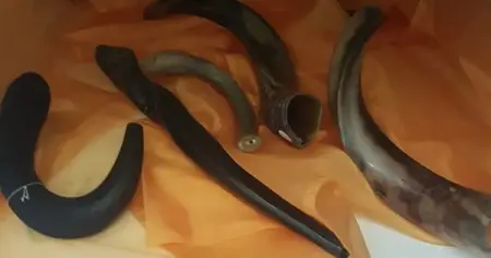 Book and Gift Shop
API.WHATSAPP.COM
By Die Voete Van Jesus Boek - En Ge