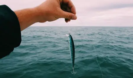 Nearly 3 billion people in the world depend on sea-food for their daily meal. Fish i