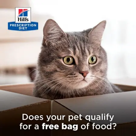 Help your pet run, walk  jump more easily with Hills Prescription Diet Mobility 