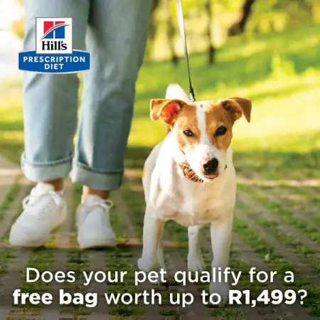 Hills Prescription Diet Mobility food is clinically proven to help improve y