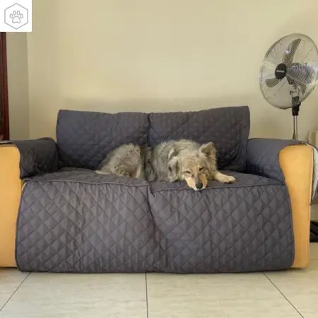 No More Fur  Scratch Marks all Over the Couch! 

Save Extra 10 Off Any!  Ends 1509.
Fr