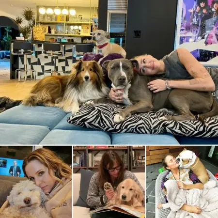 From Nicole Kidman To Henry Cavill, here are some celebs that have very spoiled 