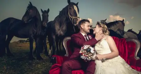 Come to the country and let your dreams run wild.
Perdekraal Wedding Venue
Wedding Venue
