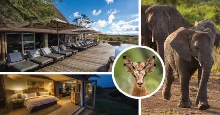 There is no better place to feel freedom than on safari and thats why 