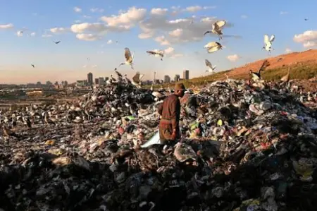 To afford a loaf of bread which costs around R14, a waste recycler will need to collect 1
