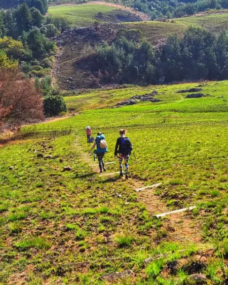 FORMS.GLE
Treur Valley
Book Now
 