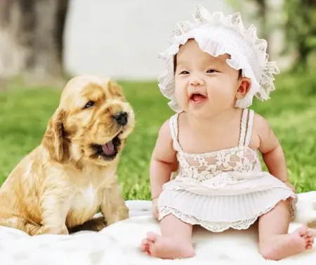 Stilo Pet
Pet Supplies
1,283 people like this
Like Page