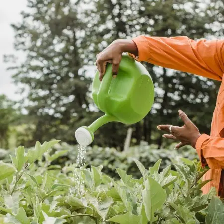 It can be difficult navigating the world of fertiliser when so many are available, but, i