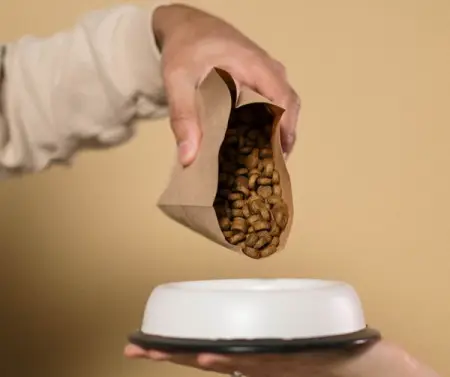 Did you know that hydrating your pup or feline friends kibble with coconut water, b