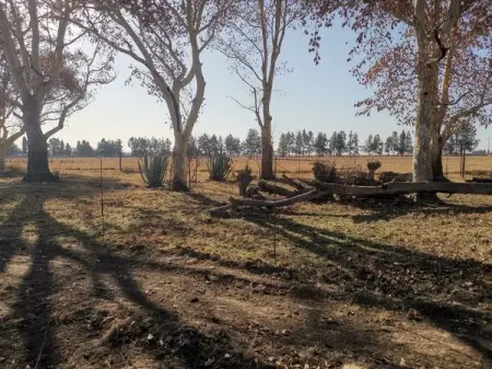 Wild Kaya weddings  events was established by owners Jurrie  Mandi on their s