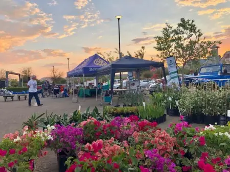 The sun is shining...the birds are singing...Spring is here! 

It the perfect time to