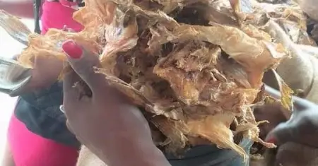 make us ur food stuffs surest plug
On stock fish
Olivian FOODS
make us ur f