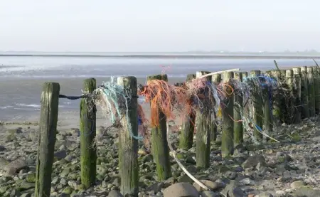 Por la preservacin de los ocanos
BIGFISH.MX
Oportunidad histrica para abordar contamin