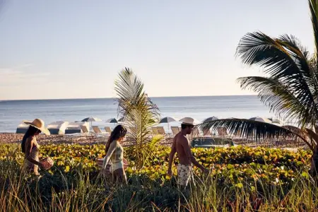 This summer, spend more time experiencing the very best of Palm Beach at the islands onl