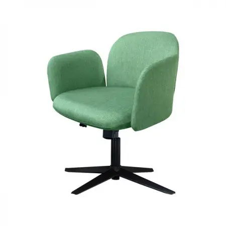 CHAIRCLUBWORLD.COM
PICCADILLY Chair
Chair Club
Learn More
Chair Club