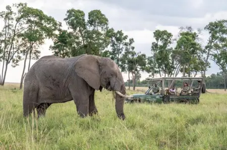 Visit Instagram Profile
 