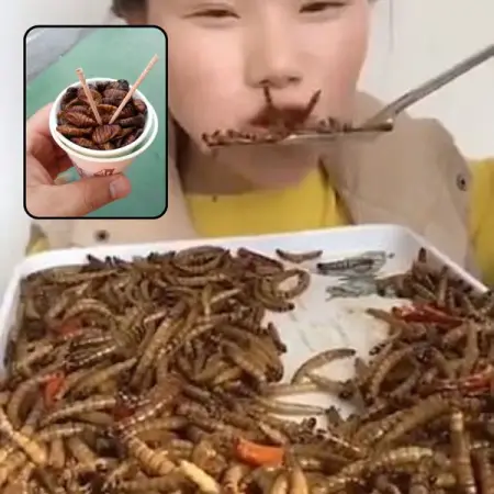 Nothing makes us happier than to travel and discover new locations. For this reason, we c