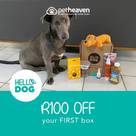 PETHEAVEN.CO.ZA
R100 off your first box
Shop Now
 