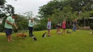 Ralun Dog Stars is a fun and interactive place to interact with your dog. Join us on Satur