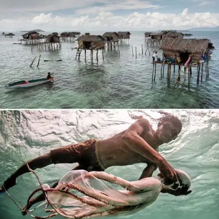 The Bajau people of Malaysia have lived most of their life in the water, and 