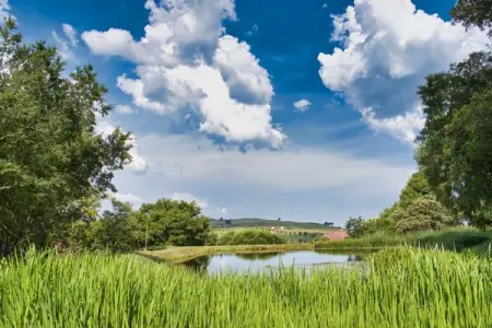 Spacious, affordable, stylish  boasting beautiful locations. We offer 