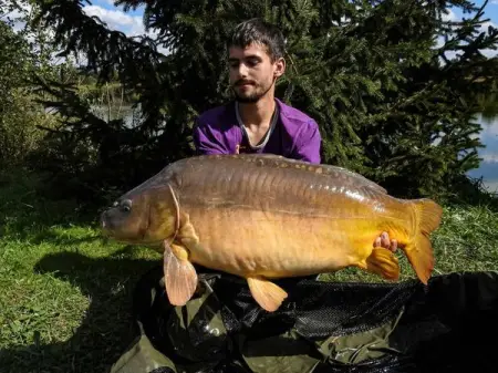 Pretty classic and classically pretty big fish.