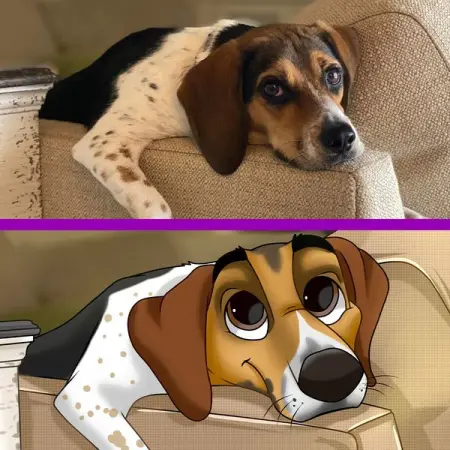 Hi, my name is Irene and I draw your pet as a cartoon 

What are you wai