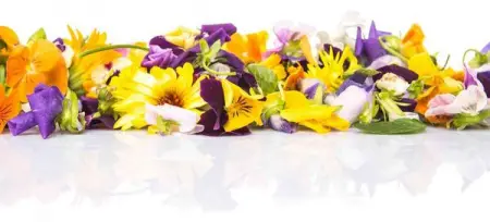 Nature holds many treasures.
FALSTAFF.COM
The Seven Best Wild Herbs to Forage - Falstaff